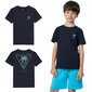 Marškinėliai berniukams 4F, mėlyni цена и информация | Marškinėliai berniukams | pigu.lt