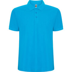 Футболка поло мужская PEGASO  PREMIUM голубая цена и информация | Мужские футболки | pigu.lt