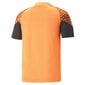 Sportiniai marškinėliai vyrams Puma Individual Cup Training, oranžiniai kaina ir informacija | Futbolo apranga ir kitos prekės | pigu.lt