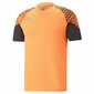 Sportiniai marškinėliai vyrams Puma Individual Cup Training, oranžiniai kaina ir informacija | Futbolo apranga ir kitos prekės | pigu.lt