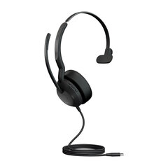 Jabra Evolve2 kaina ir informacija | Ausinės | pigu.lt