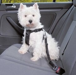 Автомобильный поводок для домашних животных цена и информация | Поводки для собак | pigu.lt