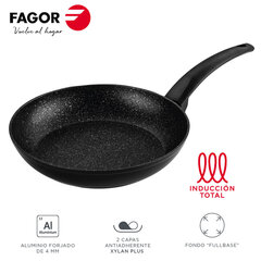Fagor keptuvė, 28 cm kaina ir informacija | Keptuvės | pigu.lt