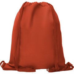 Спортивная сумка Zorzal, красная цена и информация | Рюкзаки и сумки | pigu.lt