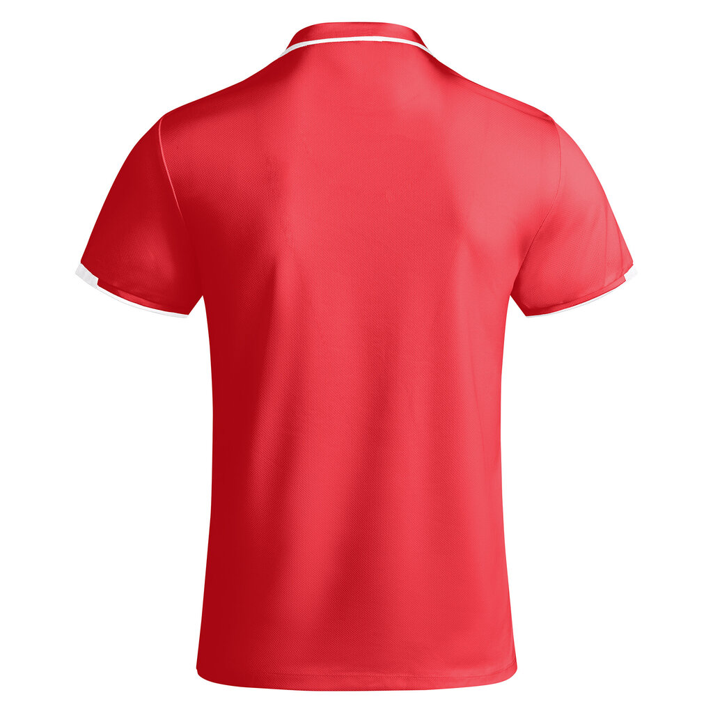 Polo marškinėliai vyrams Roly Tamil, raudoni цена и информация | Vyriški marškinėliai | pigu.lt