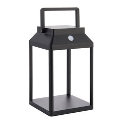 Endon Уличный светильник Linterna LED 96931 цена и информация | Уличные светильники | pigu.lt