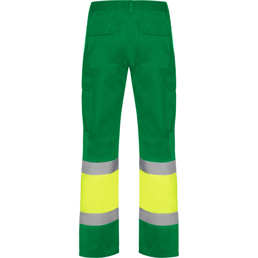 Darbo kelnės Roly Hi-Viz NAOS žalia/geltona kaina ir informacija | Darbo rūbai | pigu.lt