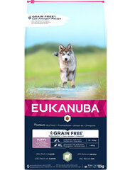 Eukanuba Grain Free L Puppy didelių veislių šuniukams su ėriena, 12 kg kaina ir informacija | Sausas maistas šunims | pigu.lt