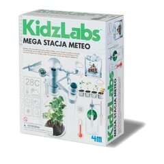 Meteorologinė stotis Kidzlabs kaina ir informacija | Lavinamieji žaislai | pigu.lt