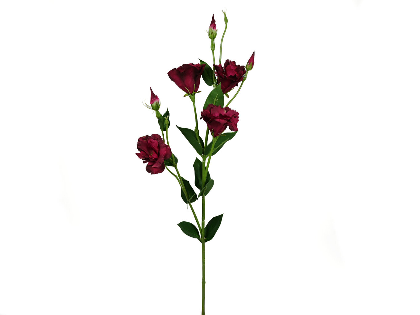 Dirbtinis augalas Eustoma kaina ir informacija | Dirbtinės gėlės | pigu.lt