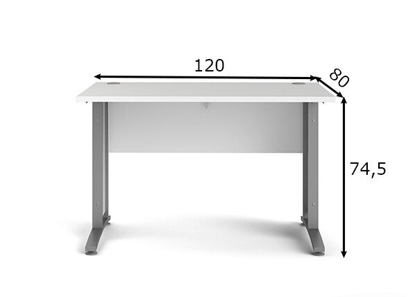 Rašomasis stalas Tvilum Prima, baltas/pilkas kaina ir informacija | Kompiuteriniai, rašomieji stalai | pigu.lt