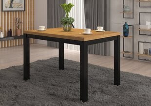 Журнальный столик ADRK Furniture Olaf 2, 120x80см, коричневый/черный цвет цена и информация | Журнальные столы | pigu.lt