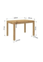 Kavos staliukas ADRK Furniture Olaf 2, 120x80cm, šviesiai rudas kaina ir informacija | Kavos staliukai | pigu.lt