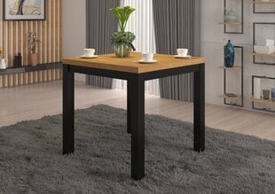 Kavos staliukas ADRK Furniture Olaf 1, 80x80cm, rudas/juodas kaina ir informacija | Kavos staliukai | pigu.lt