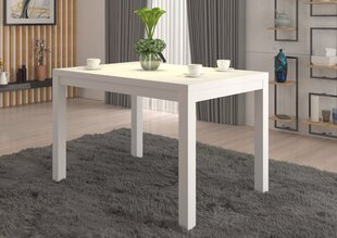 Журнальный столик ADRK Furniture Olaf 2, 120x80см, белый цвет цена и информация | Журнальные столы | pigu.lt