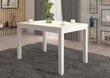 Kavos staliukas ADRK Furniture Olaf 2, 120x80cm, baltas kaina ir informacija | Kavos staliukai | pigu.lt
