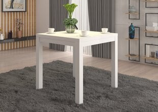 Kavos staliukas ADRK Furniture Olaf 1, 80x80cm, baltas kaina ir informacija | Kavos staliukai | pigu.lt