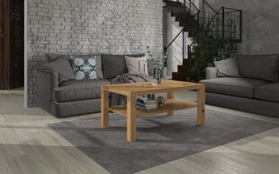 Kavos staliukas ADRK Furniture Sven, 115x65cm, rudas kaina ir informacija | Kavos staliukai | pigu.lt