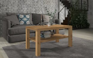 Kavos staliukas ADRK Furniture Gomez, 100x55cm, rudas kaina ir informacija | Kavos staliukai | pigu.lt