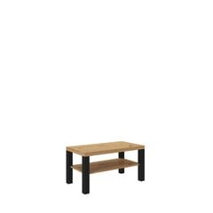 Журнальный столик ADRK Furniture Gomez, 100x55см, коричневый/черный цвет цена и информация | Журнальные столики | pigu.lt