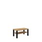 Kavos staliukas ADRK Furniture Gomez, 100x55cm, rudas/juodas kaina ir informacija | Kavos staliukai | pigu.lt