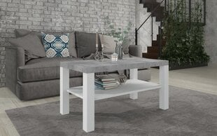 Kavos staliukas ADRK Furniture Gomez, 100x55cm, pilkas/baltas kaina ir informacija | Kavos staliukai | pigu.lt