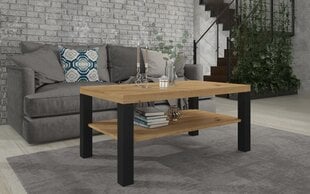 Kavos staliukas ADRK Furniture Sven, 115x65cm, rudas/juodas kaina ir informacija | Kavos staliukai | pigu.lt