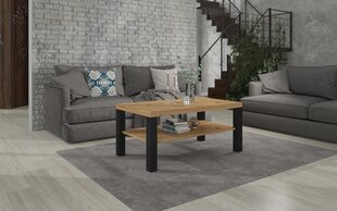 Журнальный столик ADRK Furniture Sven, 115x65см, коричневый/черный цвет цена и информация | Журнальные столики | pigu.lt