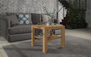 Журнальный столик ADRK Furniture Bill, 60x60см, коричневый цвет цена и информация | Журнальные столики | pigu.lt