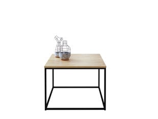 Kavos staliukas ADRK Furniture Belret, 60x60 cm, rudas/juodas kaina ir informacija | Kavos staliukai | pigu.lt