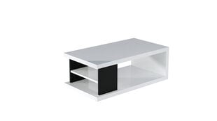 Kavos staliukas ADRK Furniture Lenea, 110x60cm, baltas kaina ir informacija | Kavos staliukai | pigu.lt