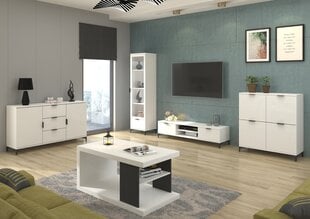 Kavos staliukas ADRK Furniture Lenea, 110x60cm, baltas kaina ir informacija | Kavos staliukai | pigu.lt