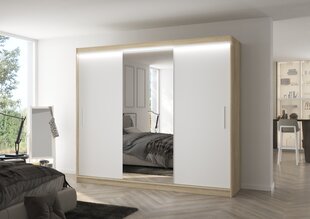 Шкаф ADRK Furniture со светодиодной подсветкой Denis 250, белый цвет/песочный цена и информация | Шкафы | pigu.lt