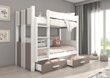 Dviaukštė lova Adrk Furniture Arta su čiužiniu, 90x200 cm, balta/ruda kaina ir informacija | Vaikiškos lovos | pigu.lt