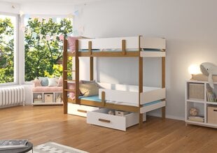 Двухъярусная кровать ADRK Furniture Etiona 80x180, белый/коричневый цвет цена и информация | Детские кровати | pigu.lt