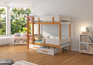 Dviaukštė lova ADRK Furniture Etiona, 80x180 cm, pilka/ruda kaina ir informacija | Vaikiškos lovos | pigu.lt