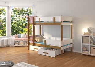 Кровать двухъярусная ADRK Furniture Etiona 90x200 см, белый/коричневый цвет цена и информация | Детские кровати | pigu.lt