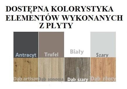 Dviaukštė lova Adrk Furniture Etiona, 90x200 cm, balta/pilka kaina ir informacija | Vaikiškos lovos | pigu.lt