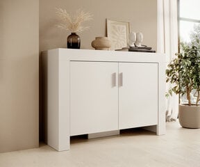 Komoda ADRK Furniture 2D 120 Cesiro, balta kaina ir informacija | Komodos | pigu.lt