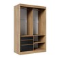 Spinta ADRK Furniture su veidrodžiu Haidar 140, ruda цена и информация | Spintos | pigu.lt