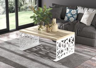 Kavos staliukas ADRK Furniture Semara 100x60cm, šviesiai rudas/baltas kaina ir informacija | Kavos staliukai | pigu.lt