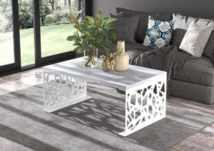 Журнальный столик ADRK Furniture Semara 100x60см, серый/белый цвет цена и информация | Журнальные столы | pigu.lt