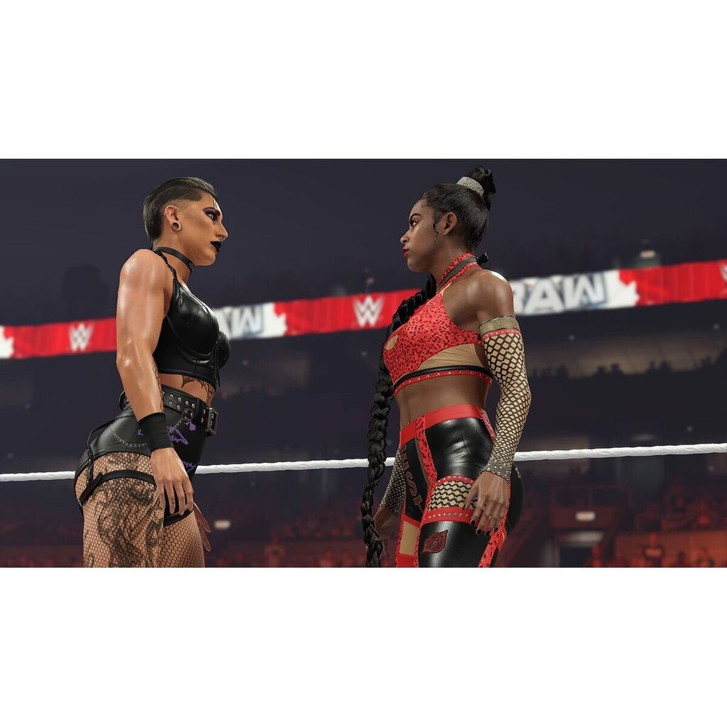 WWE 2K23 kaina ir informacija | Kompiuteriniai žaidimai | pigu.lt