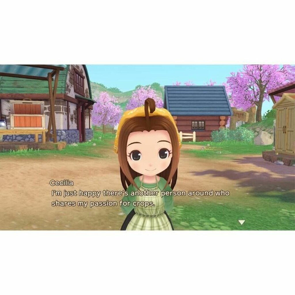 Компьютерная игра Story Of Seasons: A Wonderful Life цена | pigu.lt