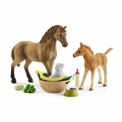 Figūrėlių rinkinys Schleich Žirgas ir kumeliukas kaina ir informacija | Žaislai berniukams | pigu.lt