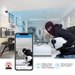 Мини камера Smurf Security цена и информация | Камеры видеонаблюдения | pigu.lt