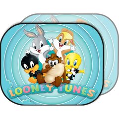 Automobilio lango apsauga Looney Tunes CZ10970 kaina ir informacija | Autokėdučių priedai | pigu.lt