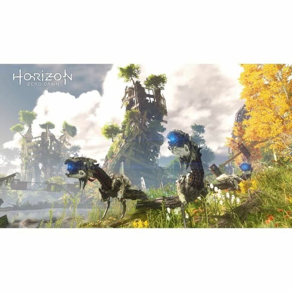 Horizon Zero Dawn kaina ir informacija | Kompiuteriniai žaidimai | pigu.lt