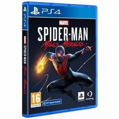 Marvel's Spider-Man Miles Morales kaina ir informacija | Kompiuteriniai žaidimai | pigu.lt