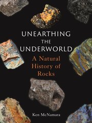 Unearthing the Underworld: A Natural History of Rocks цена и информация | Книги о питании и здоровом образе жизни | pigu.lt
